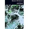 KNYGA Mario Petrucci anima