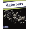 KNYGA Marne Ventura Asteroids
