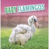 KNYGA Martha E. H. Rustad Baby Flamingos