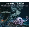 KNYGA Mary Batten Life in Hot Vanduo