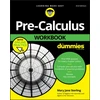 KNYGA Mary Jane Sterling Pre-Calculus Workbook For Dummies