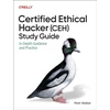 KNYGA Matt Walker Certified Ethical Hacker (Ceh) Study Guide, In-Gylis Guidance and Practice