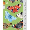 KNYGA Matthew Oates Butterfly Spotter’s Guide