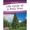 KNYGA Meg Gaertner Life Cycle of a Pine Tree
