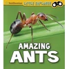 KNYGA Megan Cooley Peterson Amazing Ants