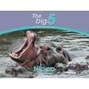 KNYGA Megan Emmett Hippo