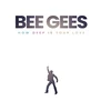 KNYGA Michael Oneill Bee Gees