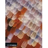 KNYGA Michael Pawlyn Biomimicry in Architecture