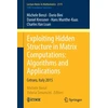 KNYGA Michele Benzi Exploiting Hidden Structure in Matrix Computations: Algorithms and Applications