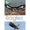 KNYGA Mike Unwin RSPB Spotlight: Eagles
