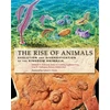 KNYGA Mikhail A Fedonkin Rise of Animals