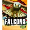 KNYGA Nathan Sommer Falcons