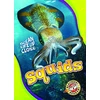 KNYGA Nathan Sommer Squids