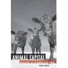 KNYGA Nicole Shukin Animal Capital