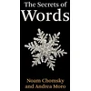 KNYGA Noam Chomsky Secrets of Words