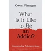 KNYGA Owen Flanagan What Is It Like to Be an Addict?