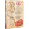 KNYGA paperblanks Lily &amp; Tomato (Mira Botanica) Midi Lined Journal