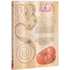 KNYGA paperblanks Lily &amp; Tomato (Mira Botanica) Ultra Lined Journal
