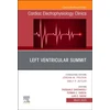 KNYGA Pasquale Santangeli Left Ventricular Summit, An Issue of Cardiac Electrophysiology Clinics