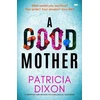 KNYGA Patricia Dixon Good Mother