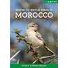 KNYGA Patrick Bergier Where to Watch Birds in Morocco