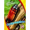 KNYGA Patrick Perish Cockroaches