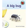 KNYGA Paul George big bug