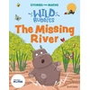 KNYGA Pauline Gregory Stories for Maths: EYFS: The Missing River (Explore 3-D shapes)