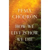 KNYGA Pema Chodron How We Live Is How We Die