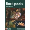 KNYGA Peter J Hayward Rock pools