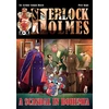 KNYGA Petr Kopl Scandal in Bohemia - A Sherlock Holmes Graphic Novel