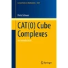 KNYGA Petra Schwer CAT(0) Cube Complexes