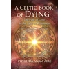 KNYGA Phyllida Anam Aire Celtic Book of Dying