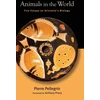KNYGA Preus Pellegrin Animals in the World