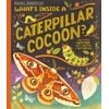 KNYGA Rachel Ignotofsky What's Inside a Caterpillar Cocoon?