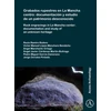 KNYGA Ramiro Rodero Roco Grabados rupestres en La Mancha centro: documentacion y estudio de un patrimonio desconocido