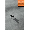 KNYGA Raymond Carr Spain: A History
