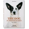 KNYGA Raymond Merritt Dog in Photography 1839–Today