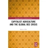 KNYGA Rebecca Ellis Capitalist Agriculture and the Global Bee Crisis