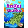 KNYGA Rebecca Pettiford Angel Sharks