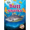 KNYGA Rebecca Pettiford Bull Sharks