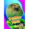 KNYGA Rebecca Pettiford Puffer Fish