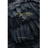 KNYGA Richard Kopley Edgar Allan Poe, A Life