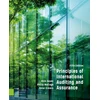 KNYGA Rick Hayes Principles of International Auditing and Assurance