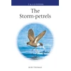 KNYGA Rob Thomas Storm-petrels
