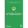 KNYGA Robbie Duschinsky Psychology of Attachment