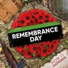 KNYGA ROBIN Remembrance Day