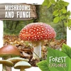 KNYGA Robin Twiddy Mushrooms &amp; Fungi