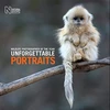 KNYGA Rosamund Kidman Cox Wildlife Photographer of the Year: Unforgettable Portraits