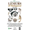 KNYGA Russell Mittermeier Lemurs of Madagascar